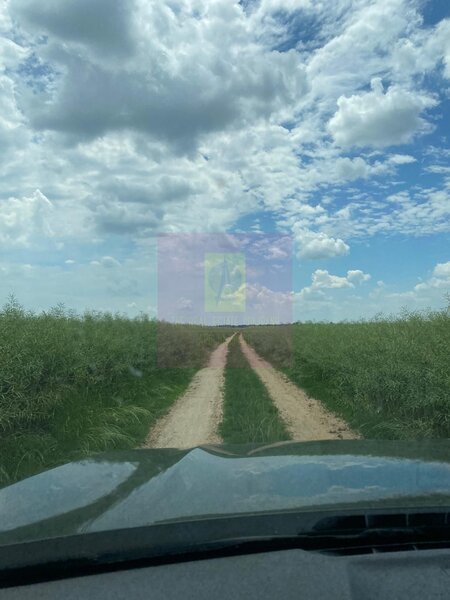 Terenuri cu potential logistic si industrial, Albota, Arges, langa DEx
